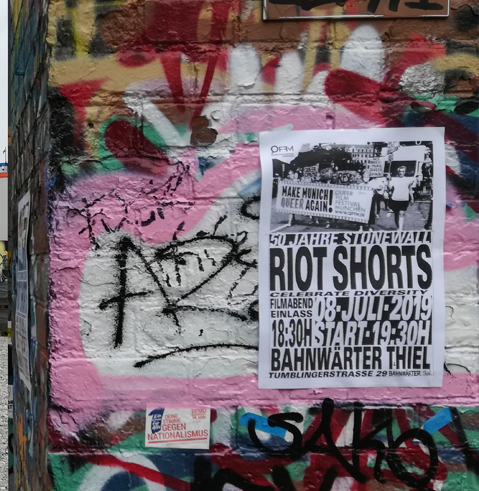 RIOT SHORTS | Danke